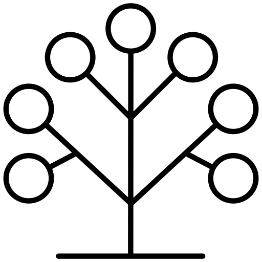 Taxonomy by Talha Dogar